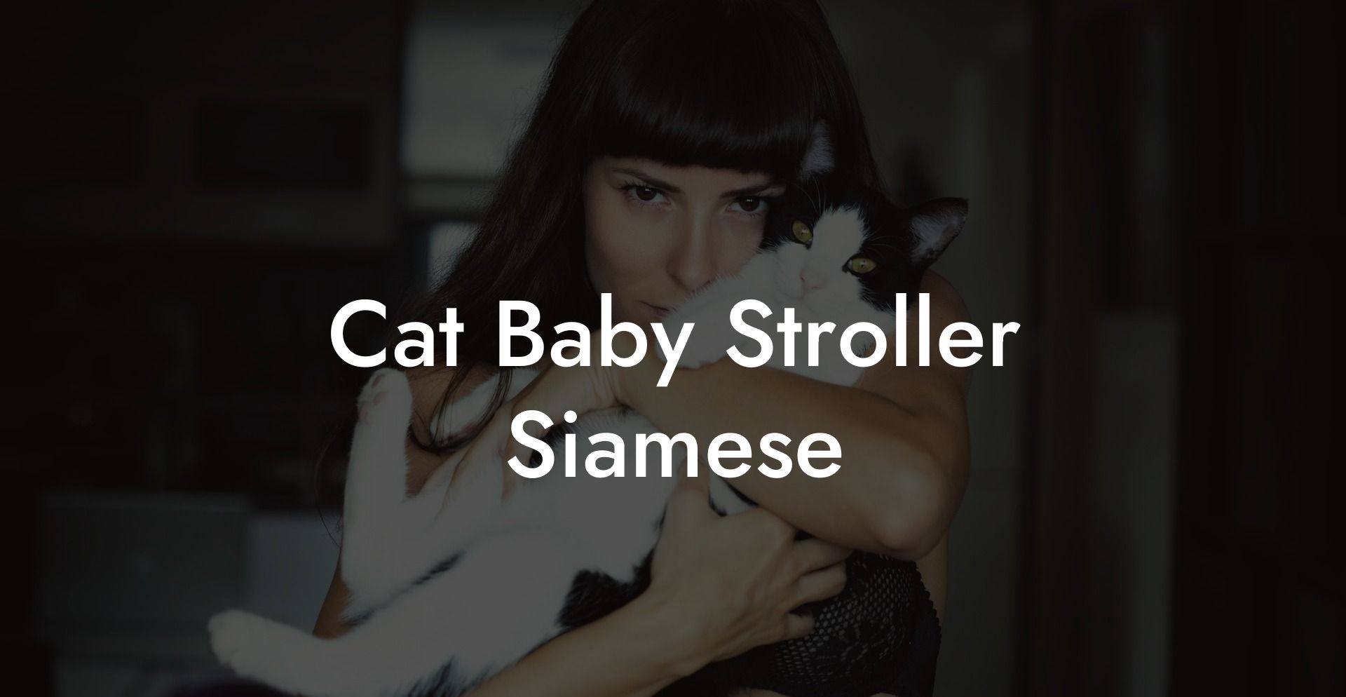 Cat Baby Stroller Siamese