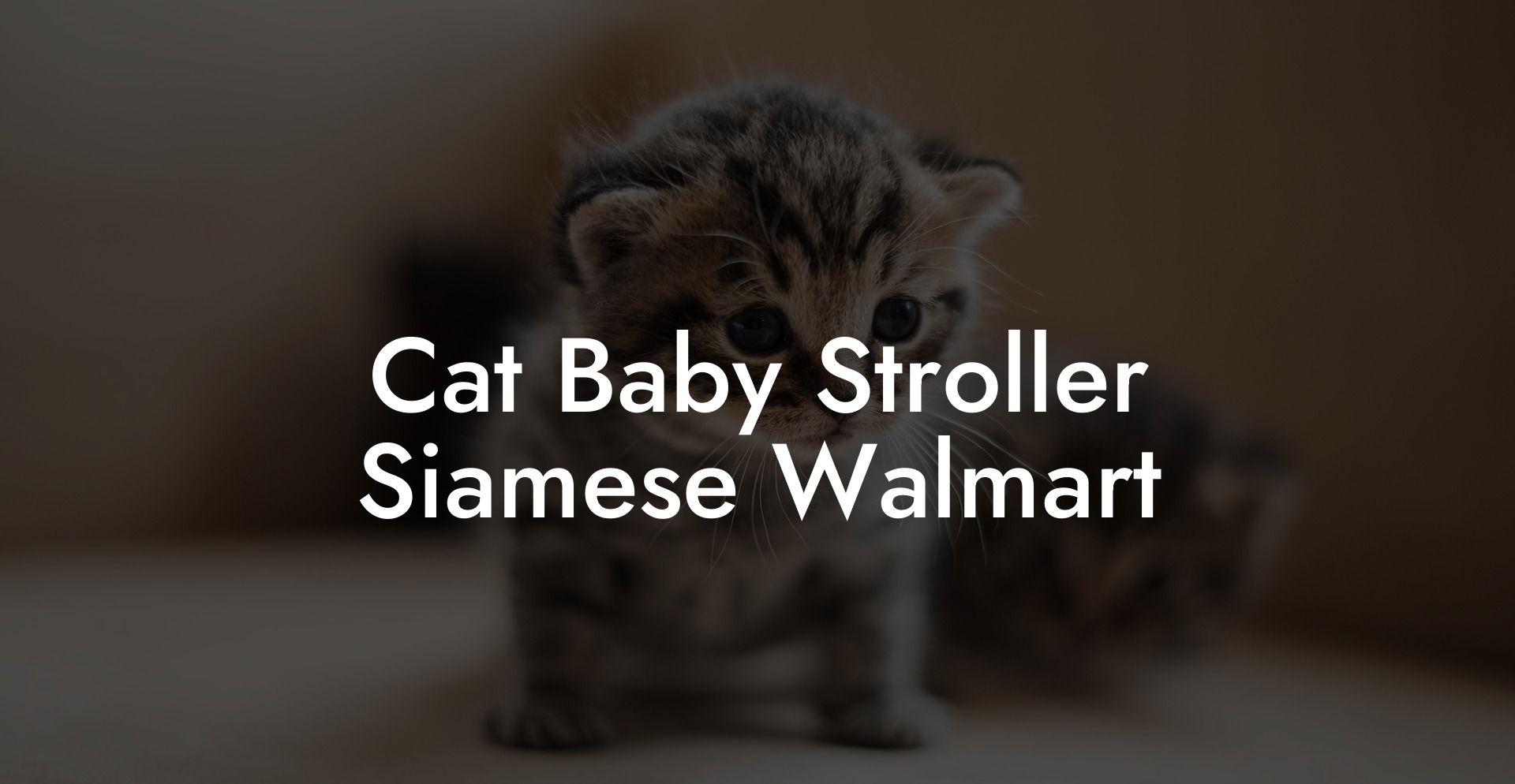 Cat Baby Stroller Siamese Walmart