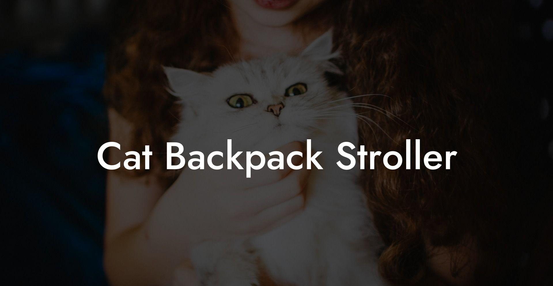Cat Backpack Stroller