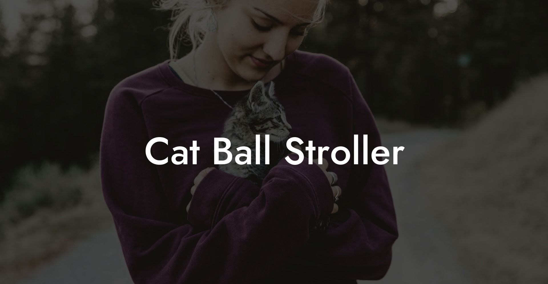 Cat Ball Stroller