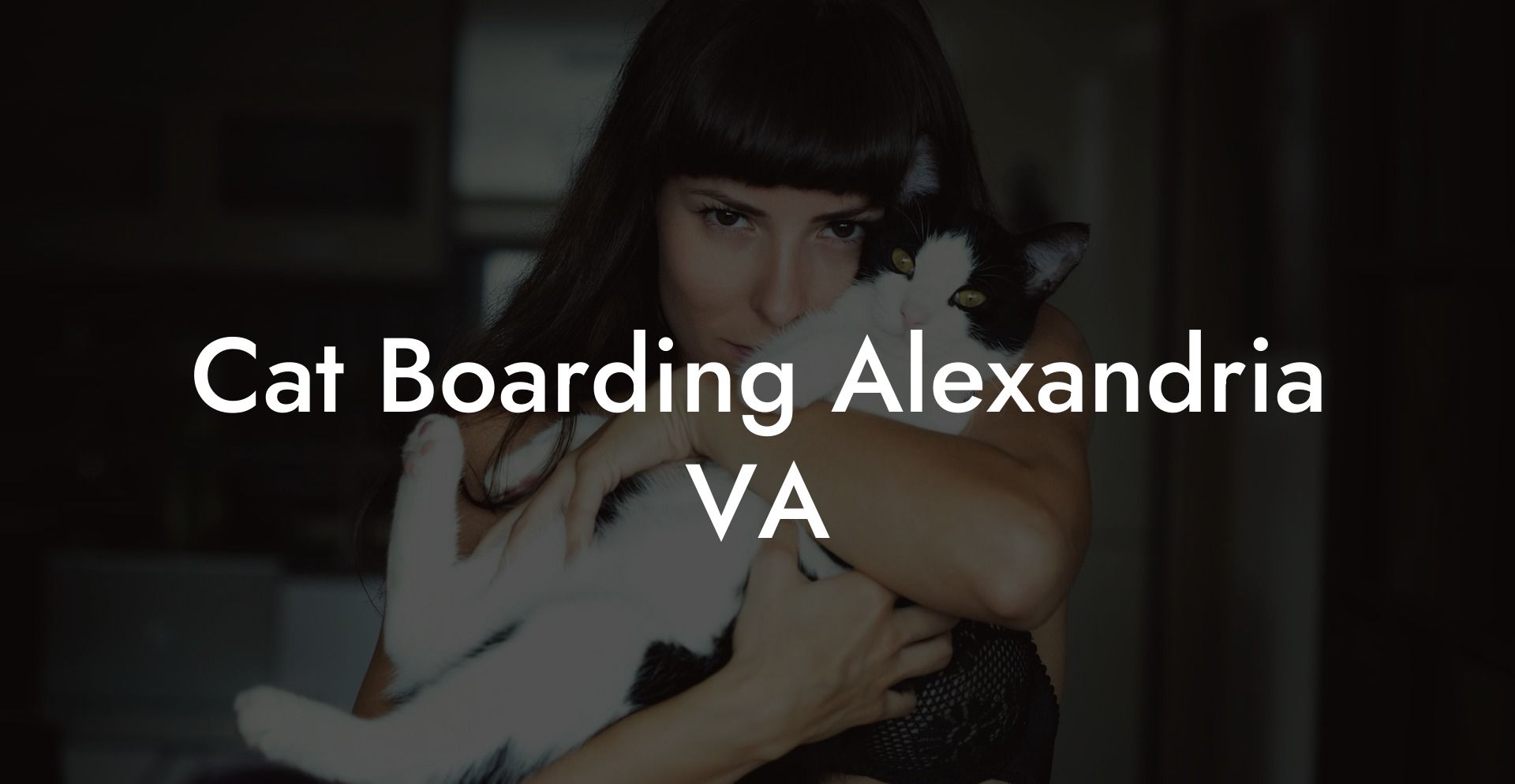 Cat Boarding Alexandria VA