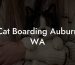 Cat Boarding Auburn WA