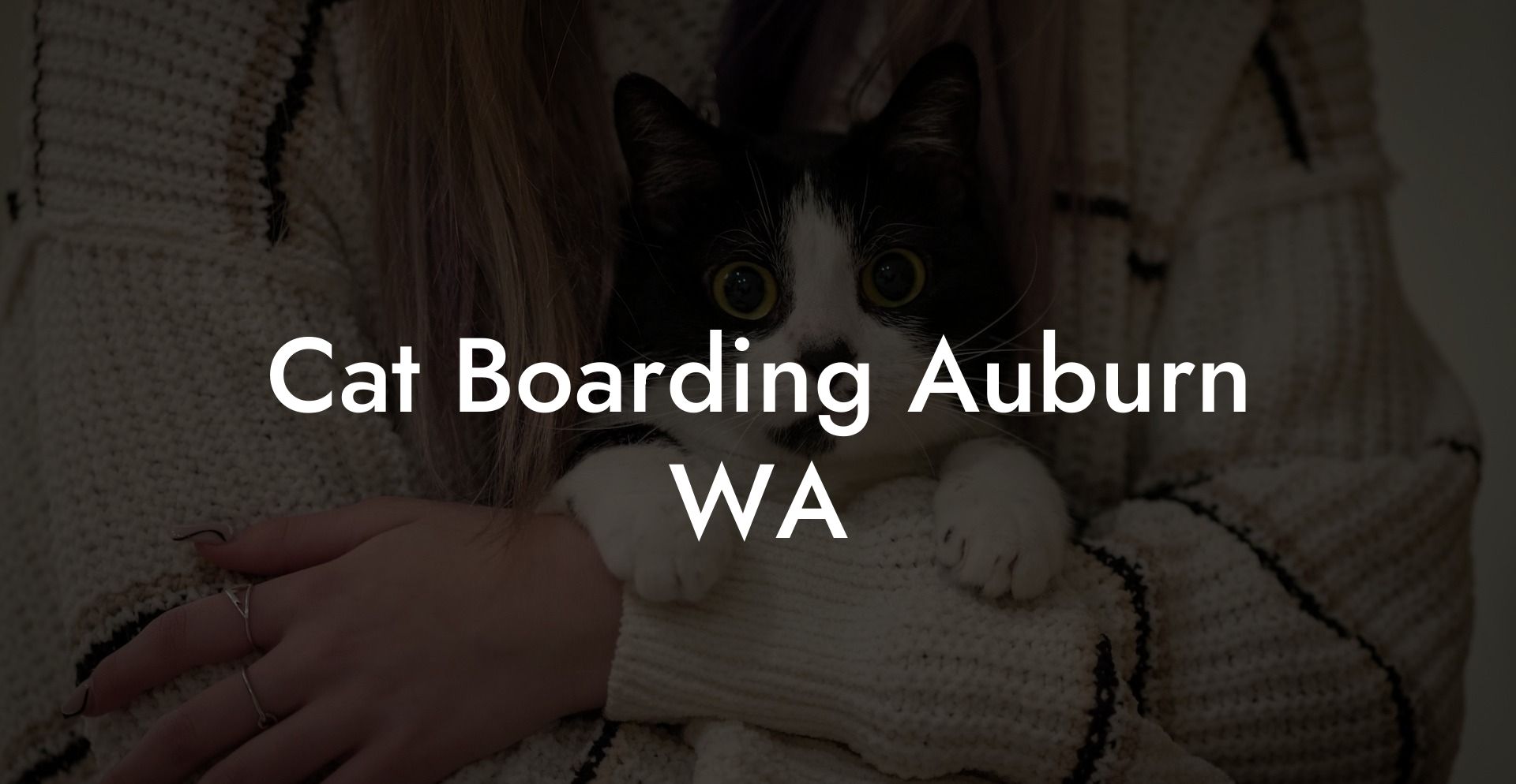 Cat Boarding Auburn WA