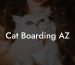 Cat Boarding AZ