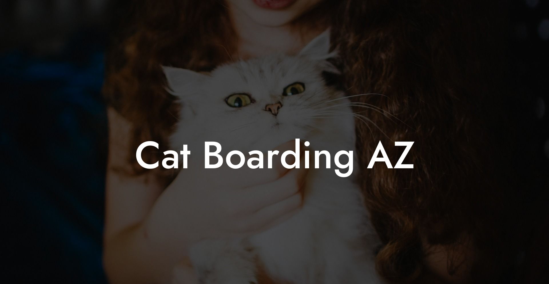 Cat Boarding AZ