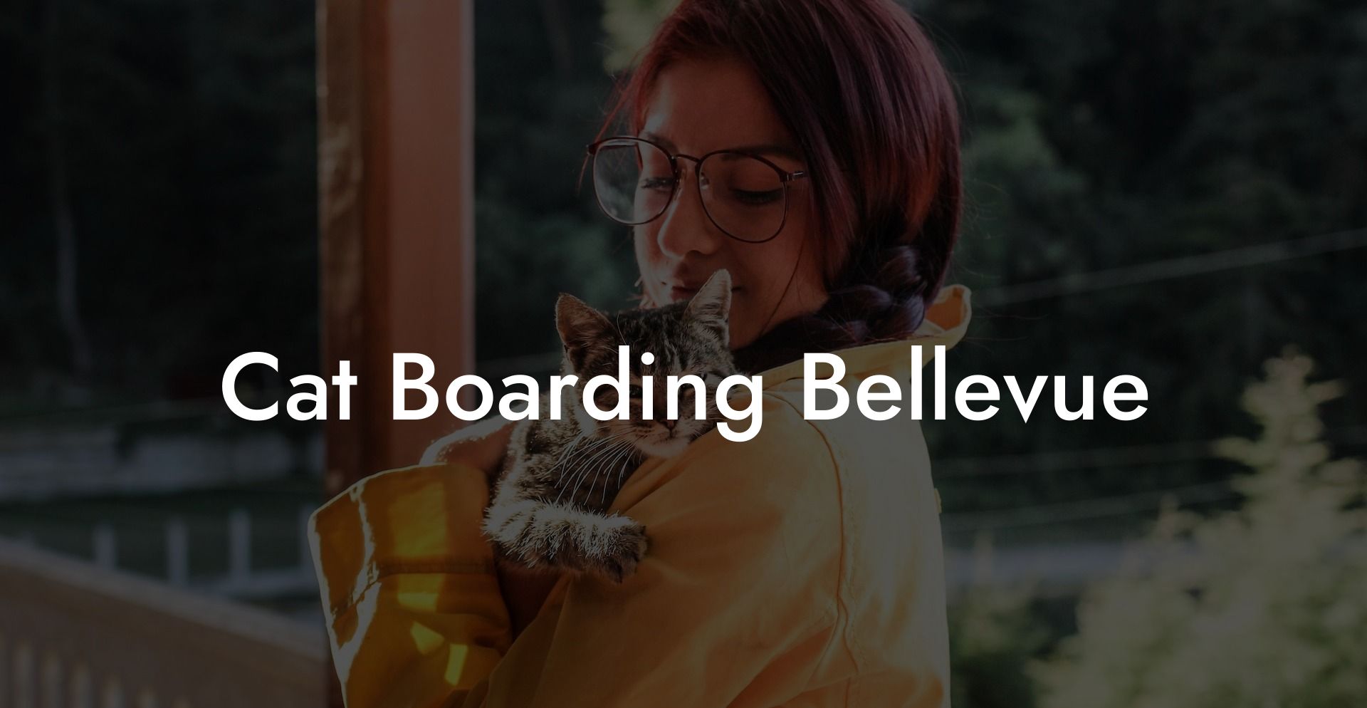 Cat Boarding Bellevue