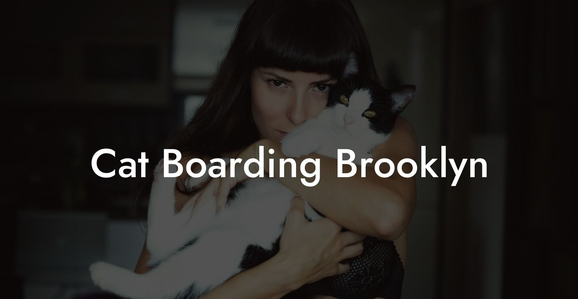 Cat Boarding Brooklyn