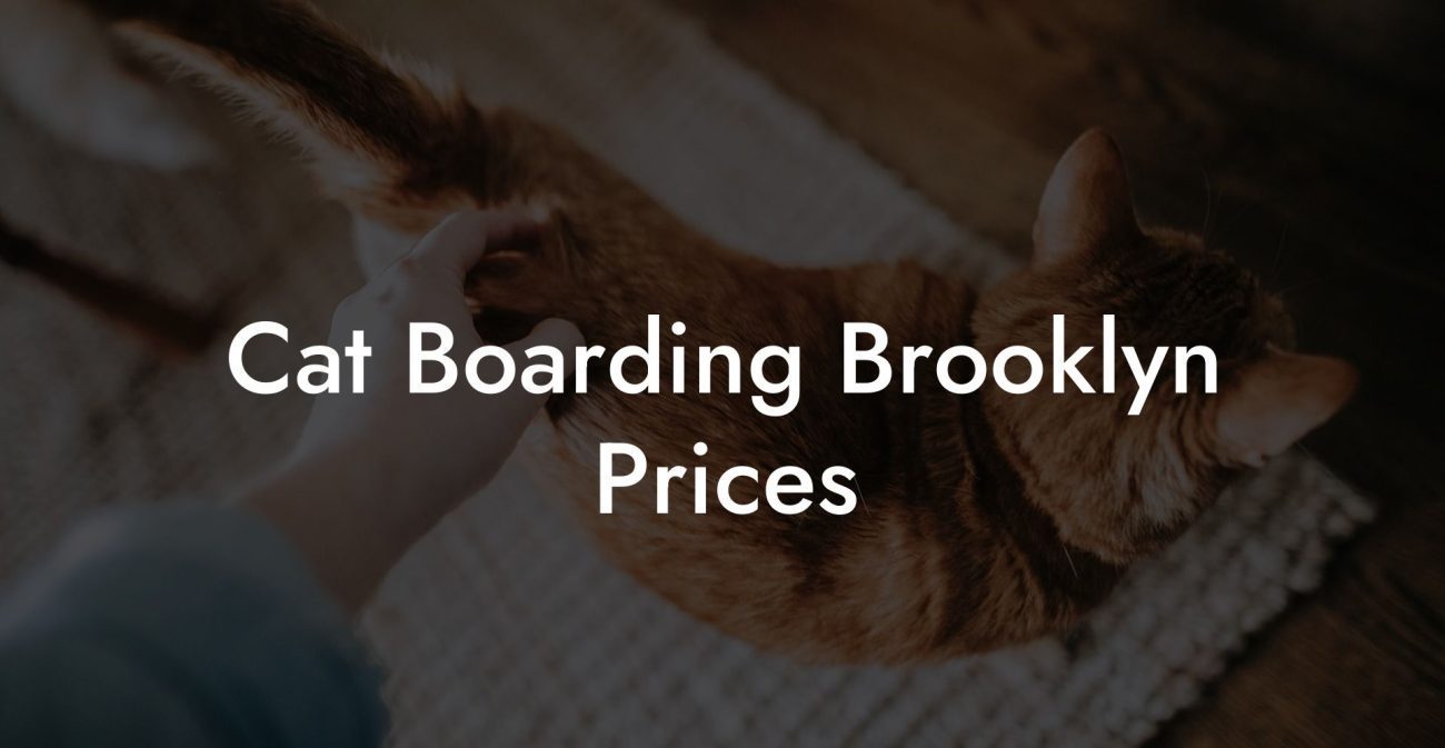 Cat Boarding Brooklyn Prices