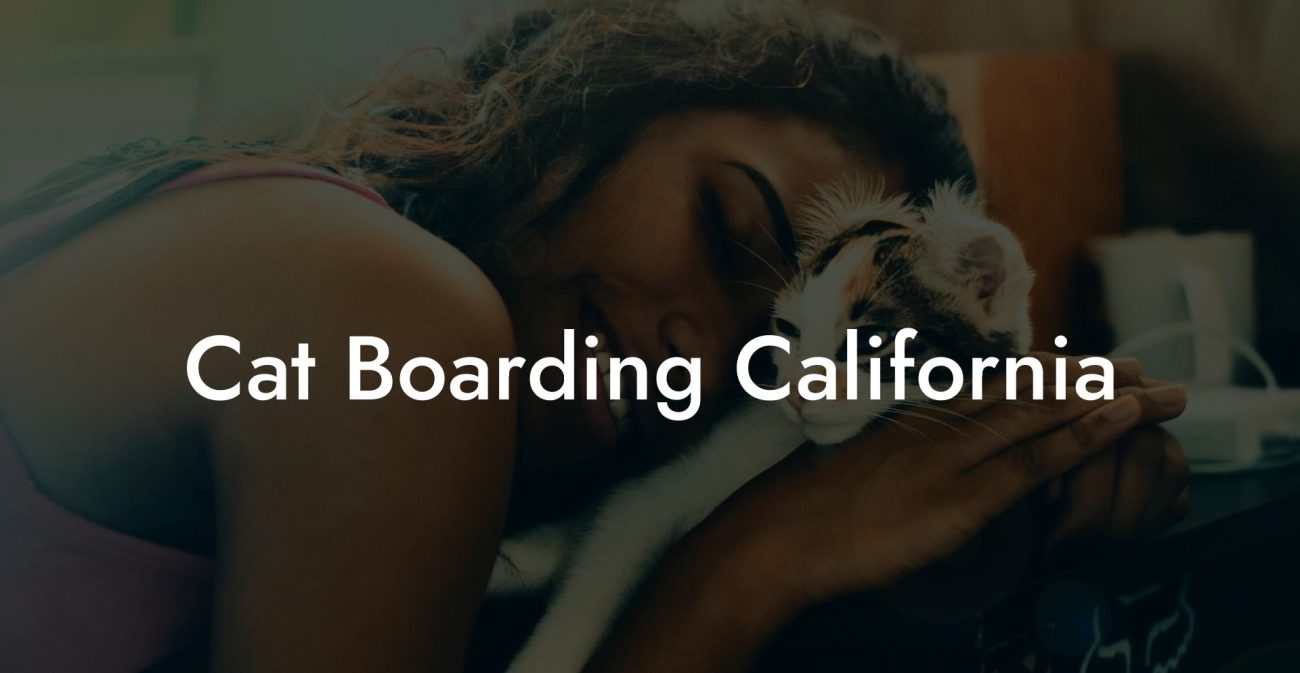 Cat Boarding California