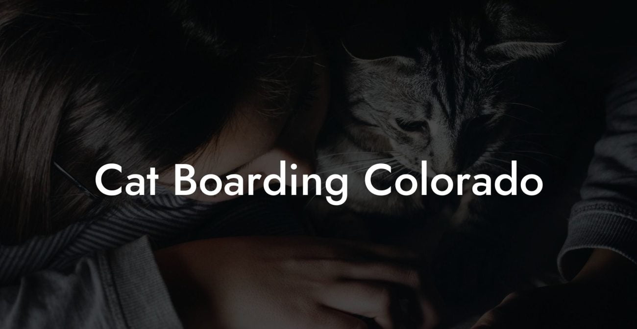 Cat Boarding Colorado