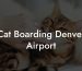 Cat Boarding Denver Airport