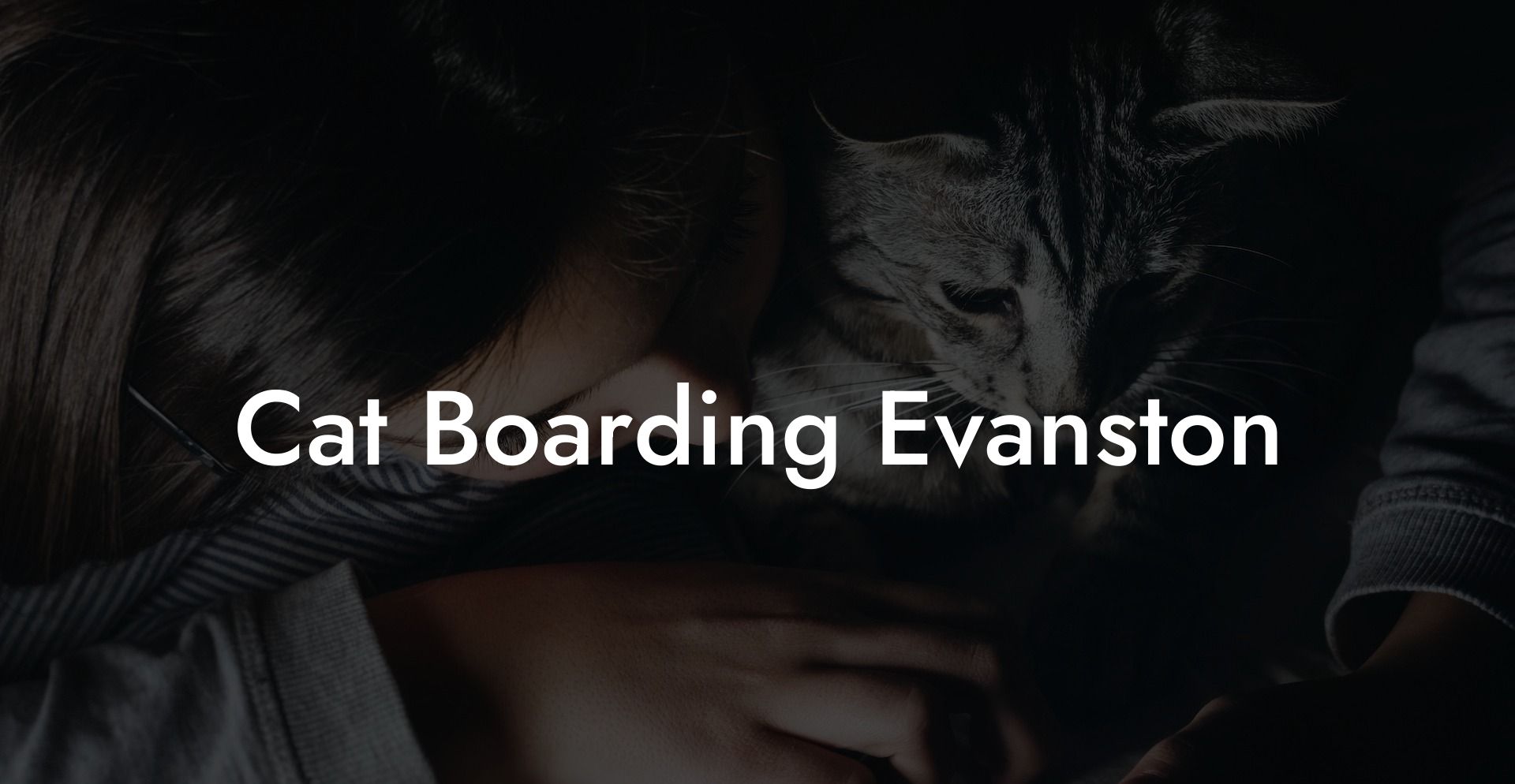Cat Boarding Evanston