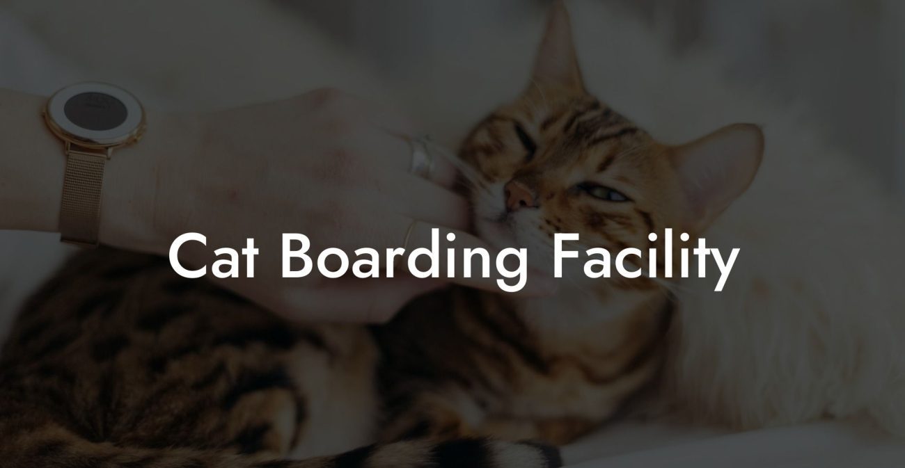 Cat Boarding Facility