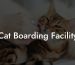 Cat Boarding Facility