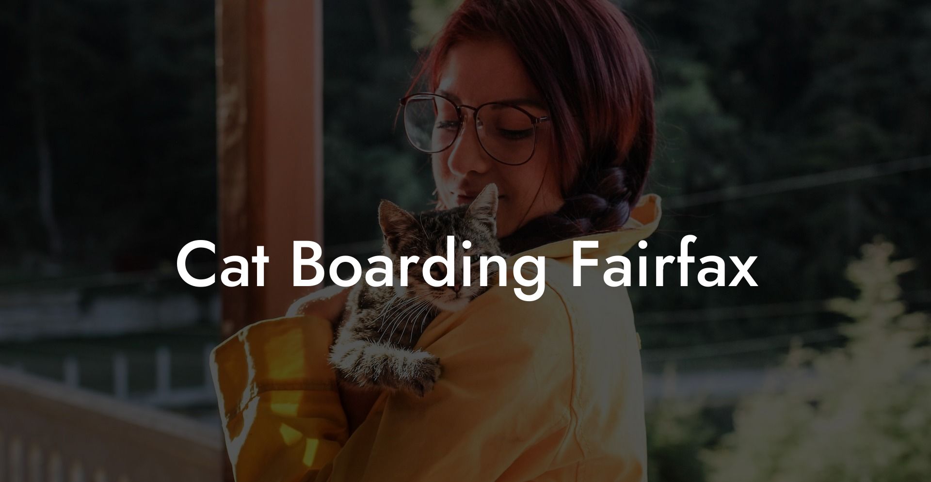Cat Boarding Fairfax