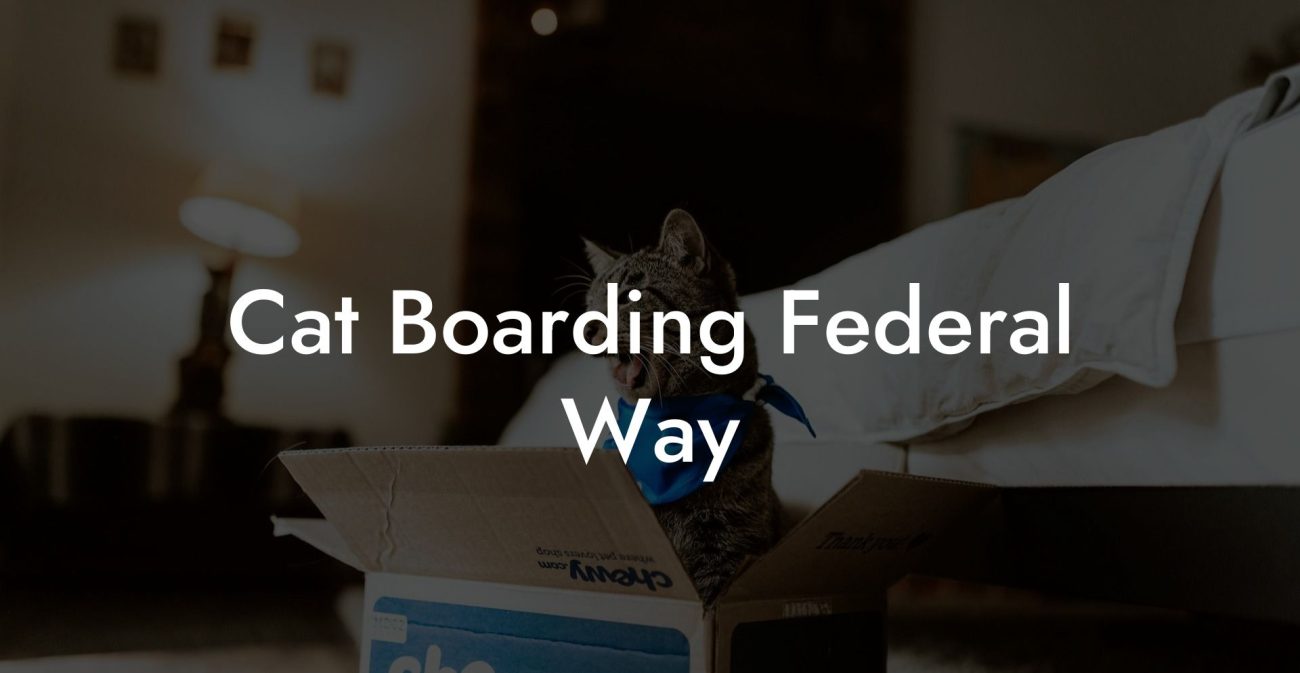 Cat Boarding Federal Way