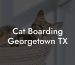 Cat Boarding Georgetown TX