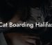 Cat Boarding Halifax
