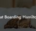 Cat Boarding Hamilton