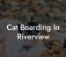 Cat Boarding In Riverview
