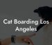 Cat Boarding Los Angeles