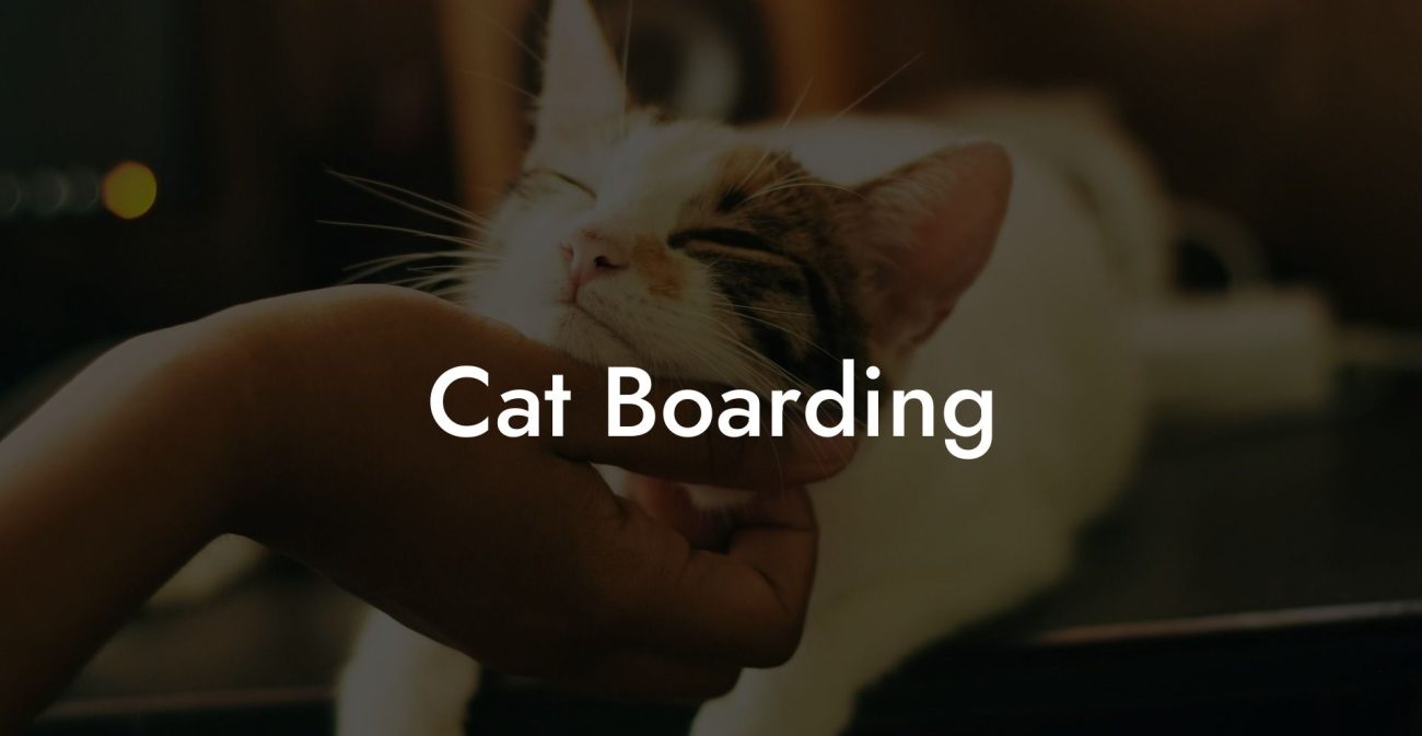 Cat Boarding