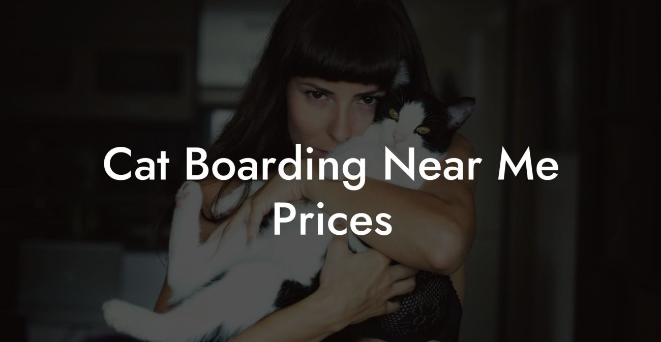 Cat Boarding Near Me Prices