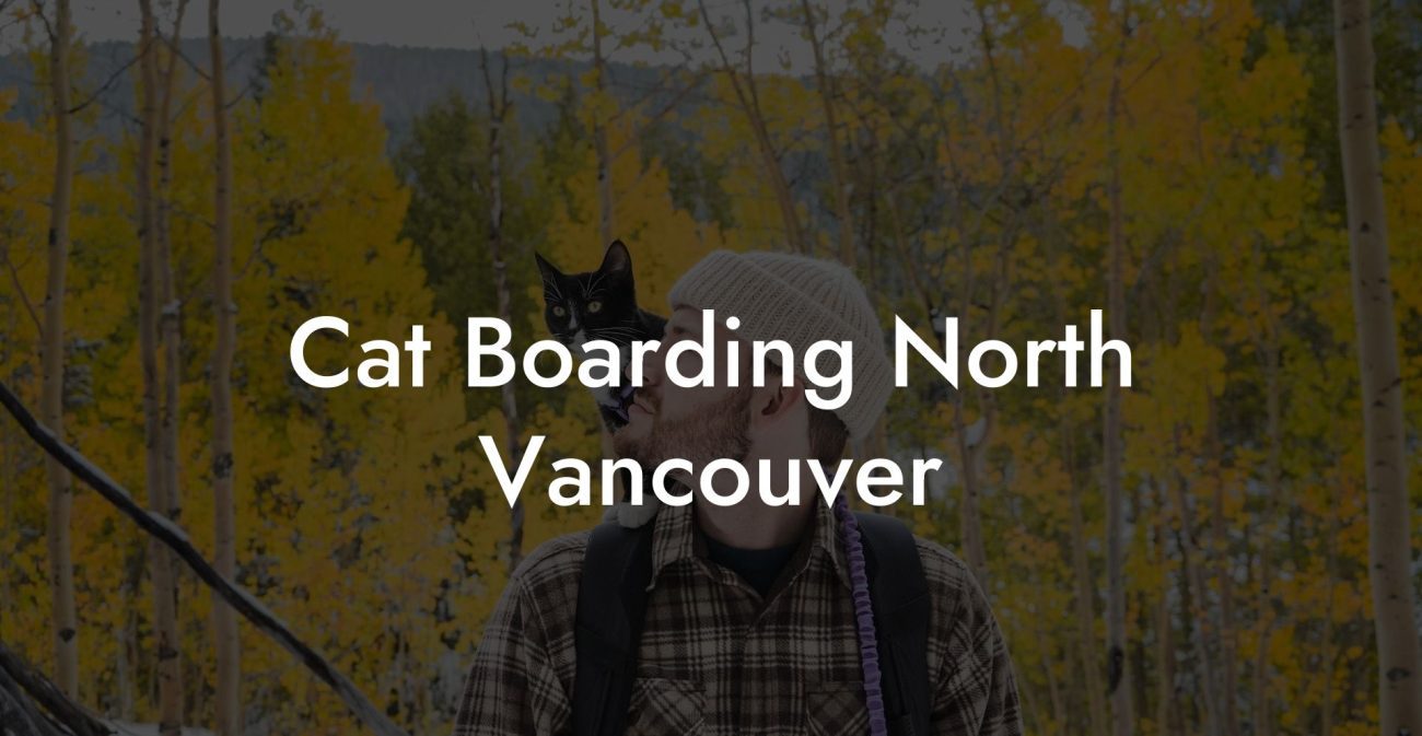 Cat Boarding North Vancouver