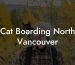 Cat Boarding North Vancouver