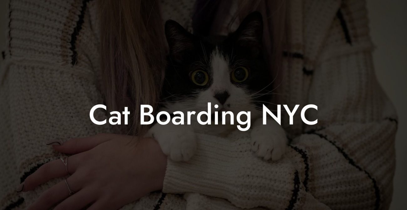 Cat Boarding NYC
