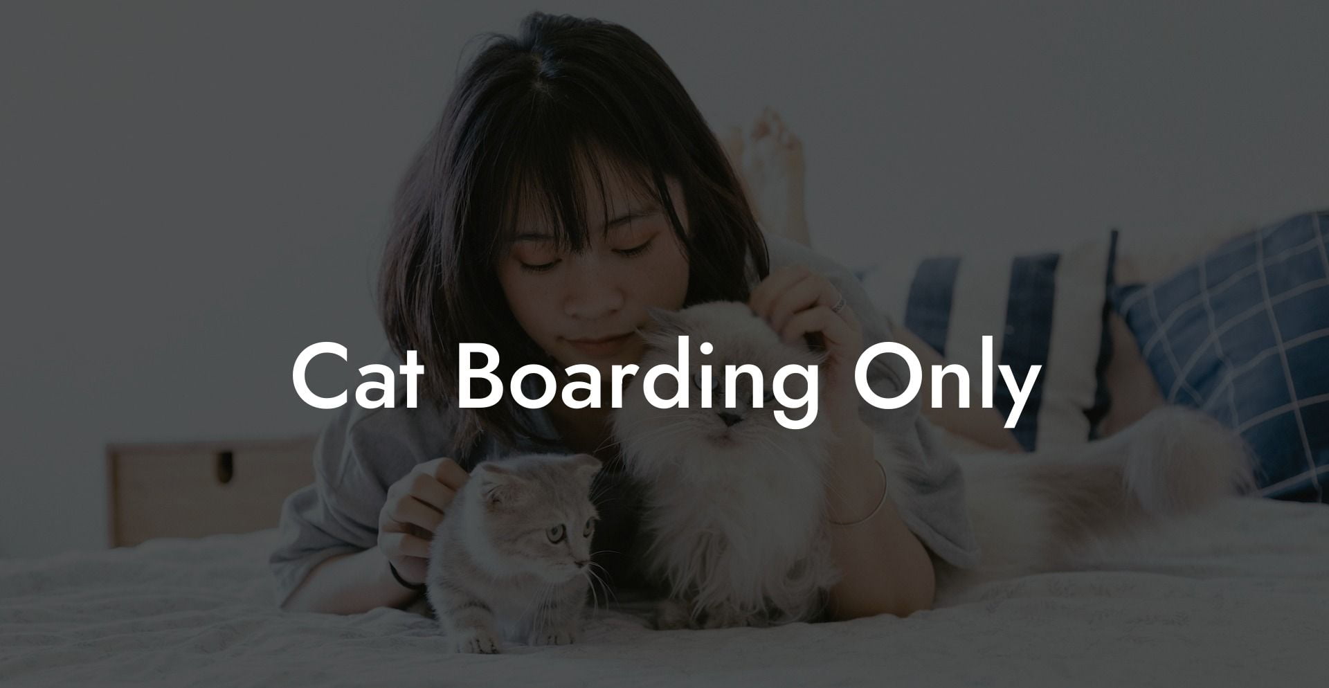 Cat Boarding Only