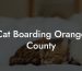 Cat Boarding Orange County