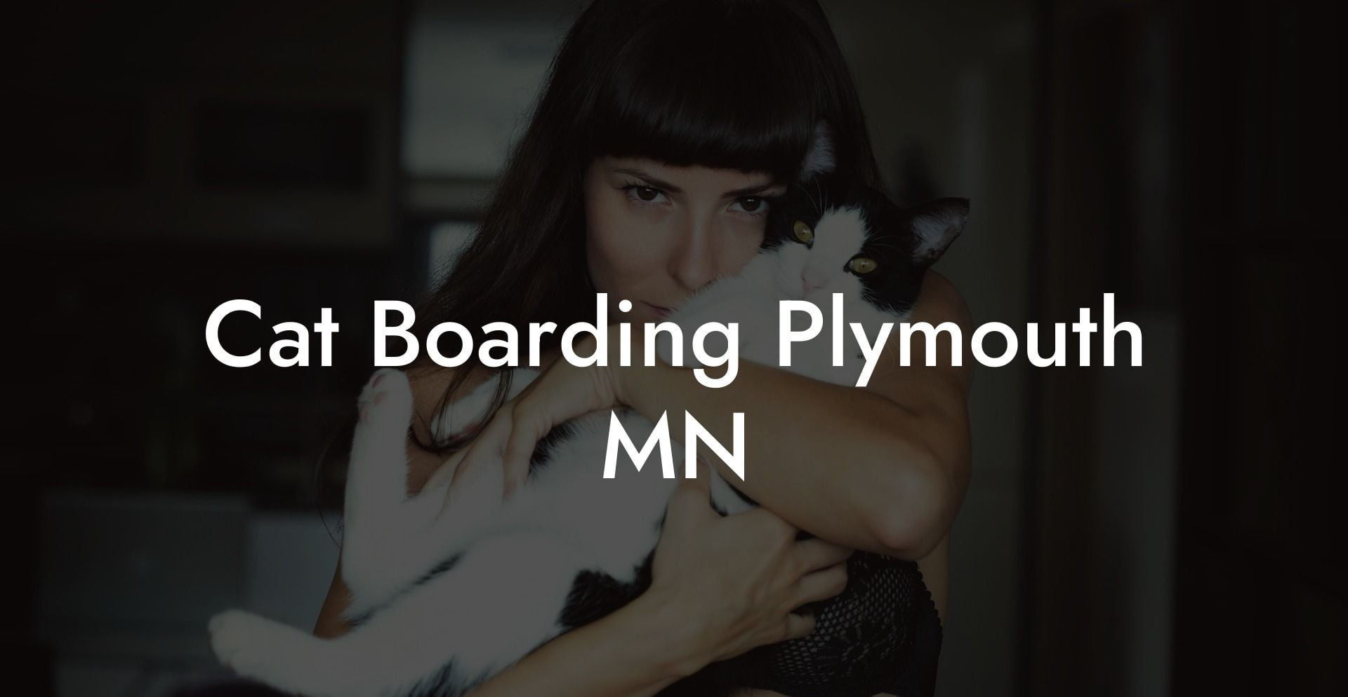 Cat Boarding Plymouth MN