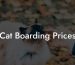 Cat Boarding Prices