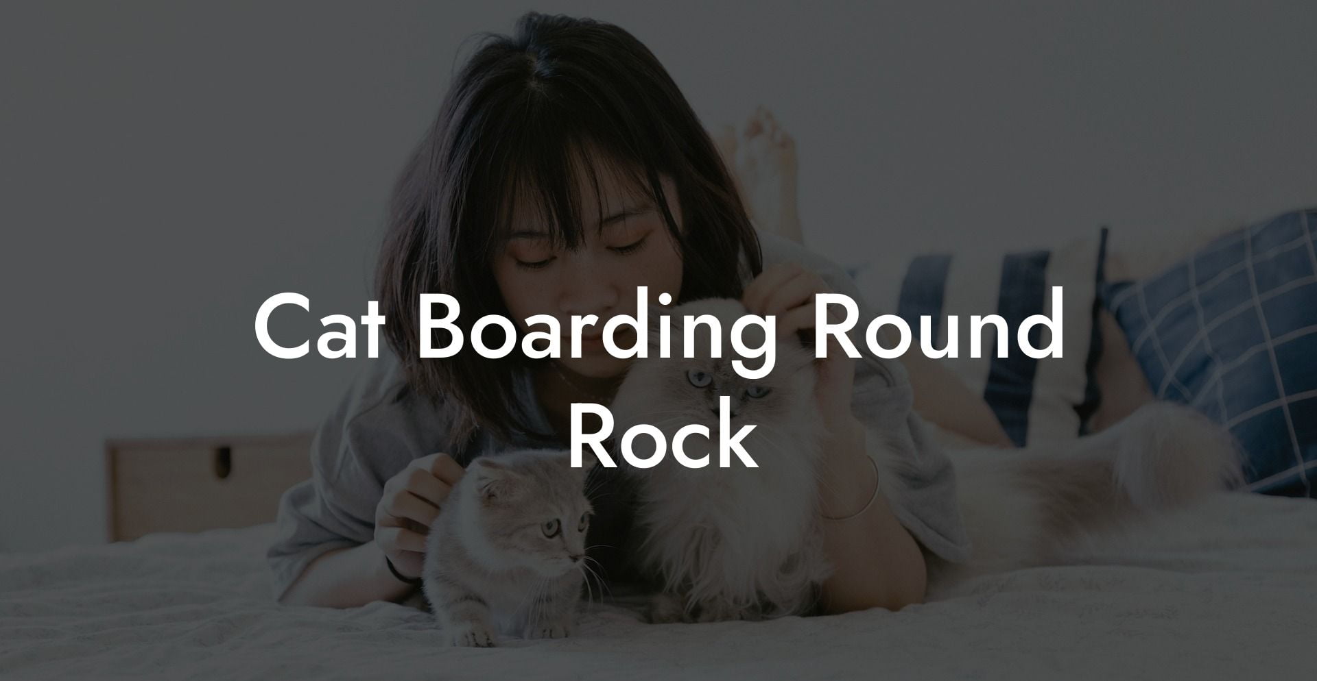 Cat Boarding Round Rock