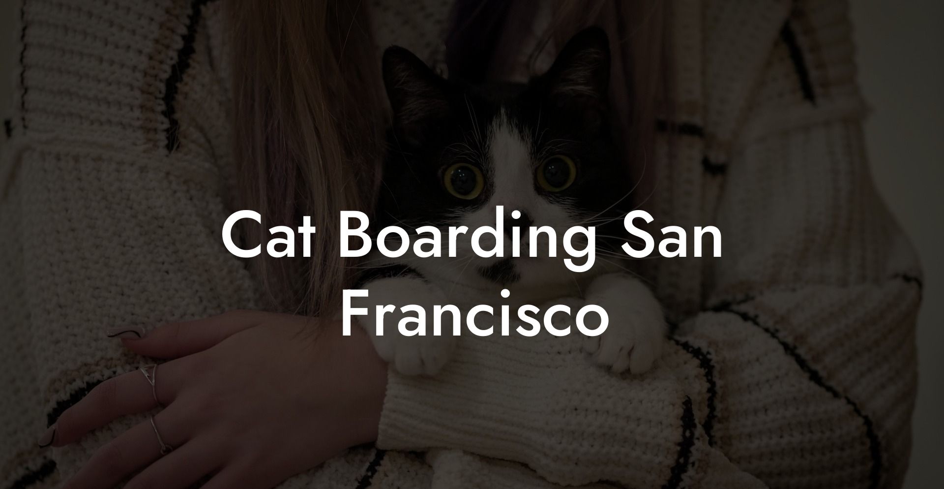 Cat Boarding San Francisco