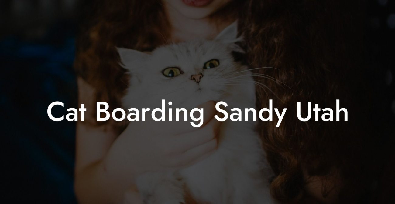 Cat Boarding Sandy Utah