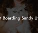 Cat Boarding Sandy Utah