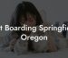 Cat Boarding Springfield Oregon