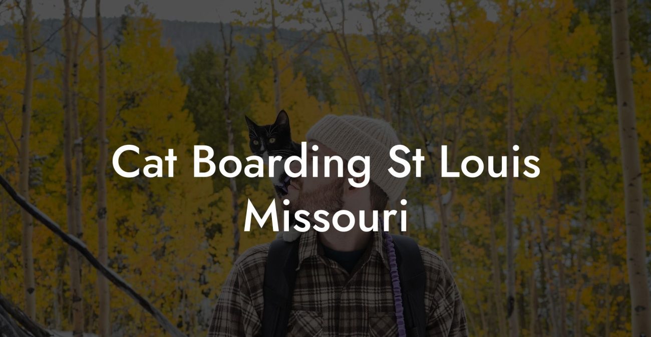 Cat Boarding St Louis Missouri