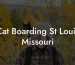 Cat Boarding St Louis Missouri