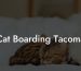Cat Boarding Tacoma