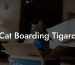 Cat Boarding Tigard