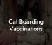 Cat Boarding Vaccinations