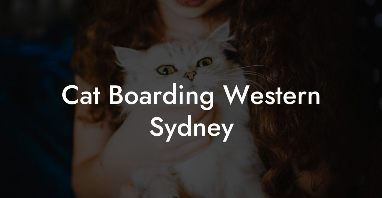 Cat Boarding Western Sydney