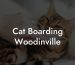 Cat Boarding Woodinville