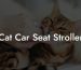 Cat Car Seat Stroller