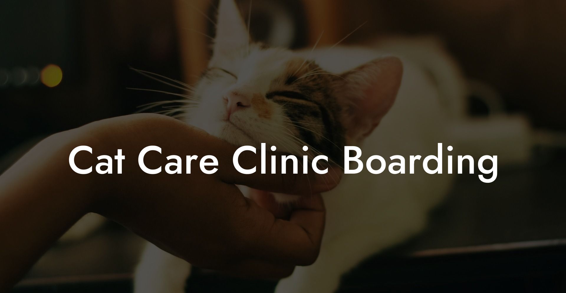 Cat Care Clinic Boarding