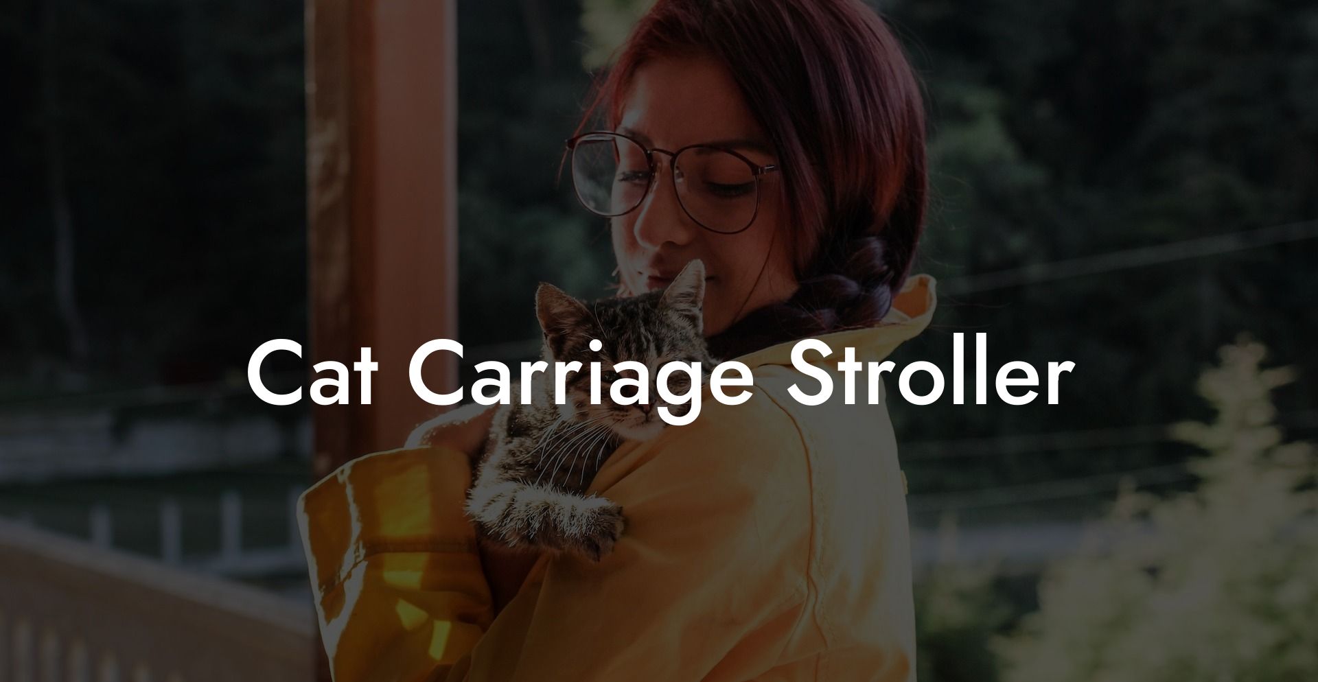 Cat Carriage Stroller