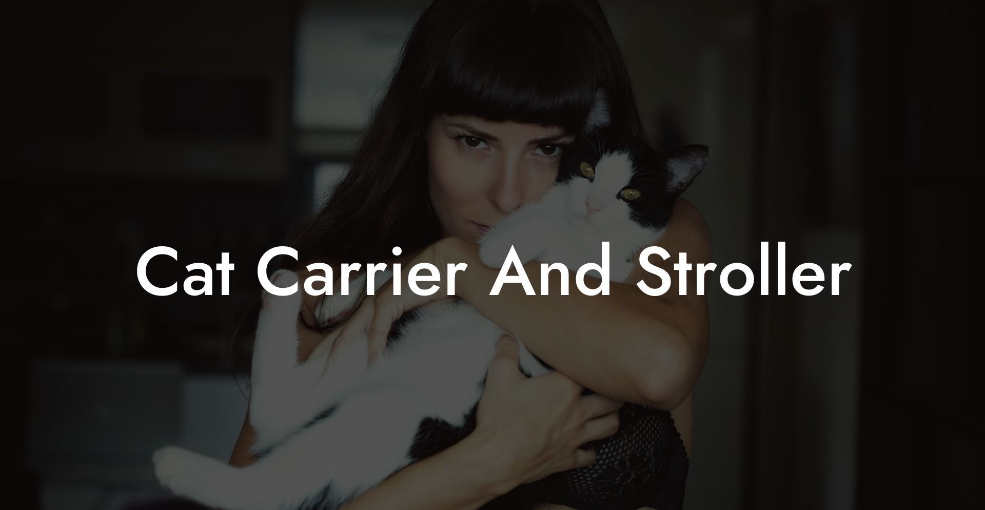 Cat Carrier And Stroller